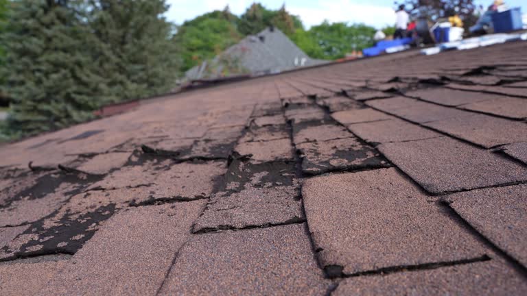Best Green or Eco-Friendly Roofing Solutions  in Bakersfield Country Clu, CA